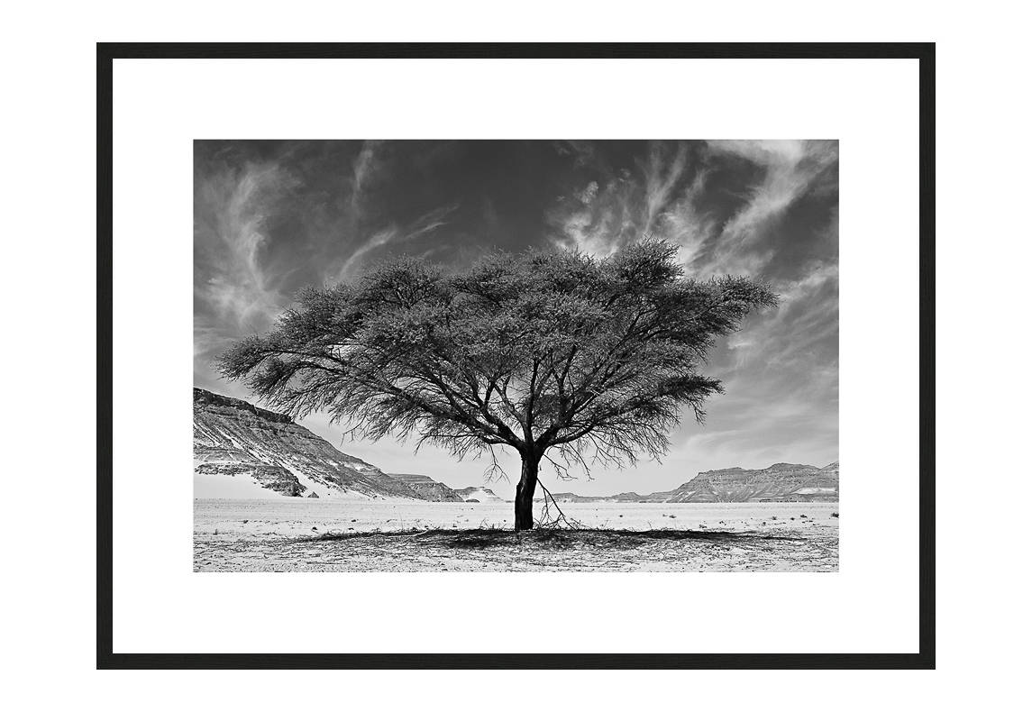 Resilience I with frame, Desert Stories Series (Photo Edition), Nik Barte