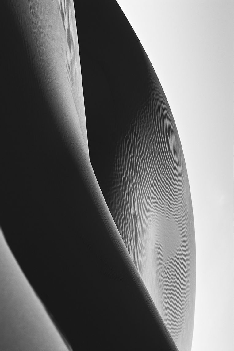 Future, Reverse Bodyscapes Series, Nik Barte