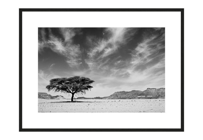 Tree Of Life with frame, Desert Stories Series (Photo Edition), Nik Barte