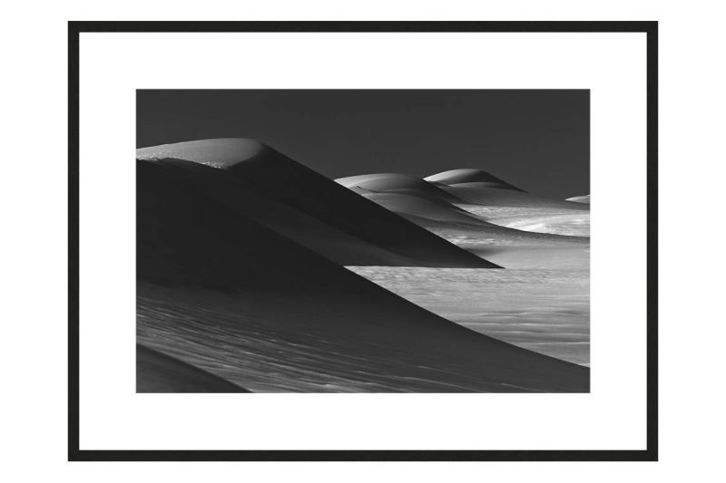 The Pack Survives with frame, DUNES Unveiled Beauties Series, Nik Barte