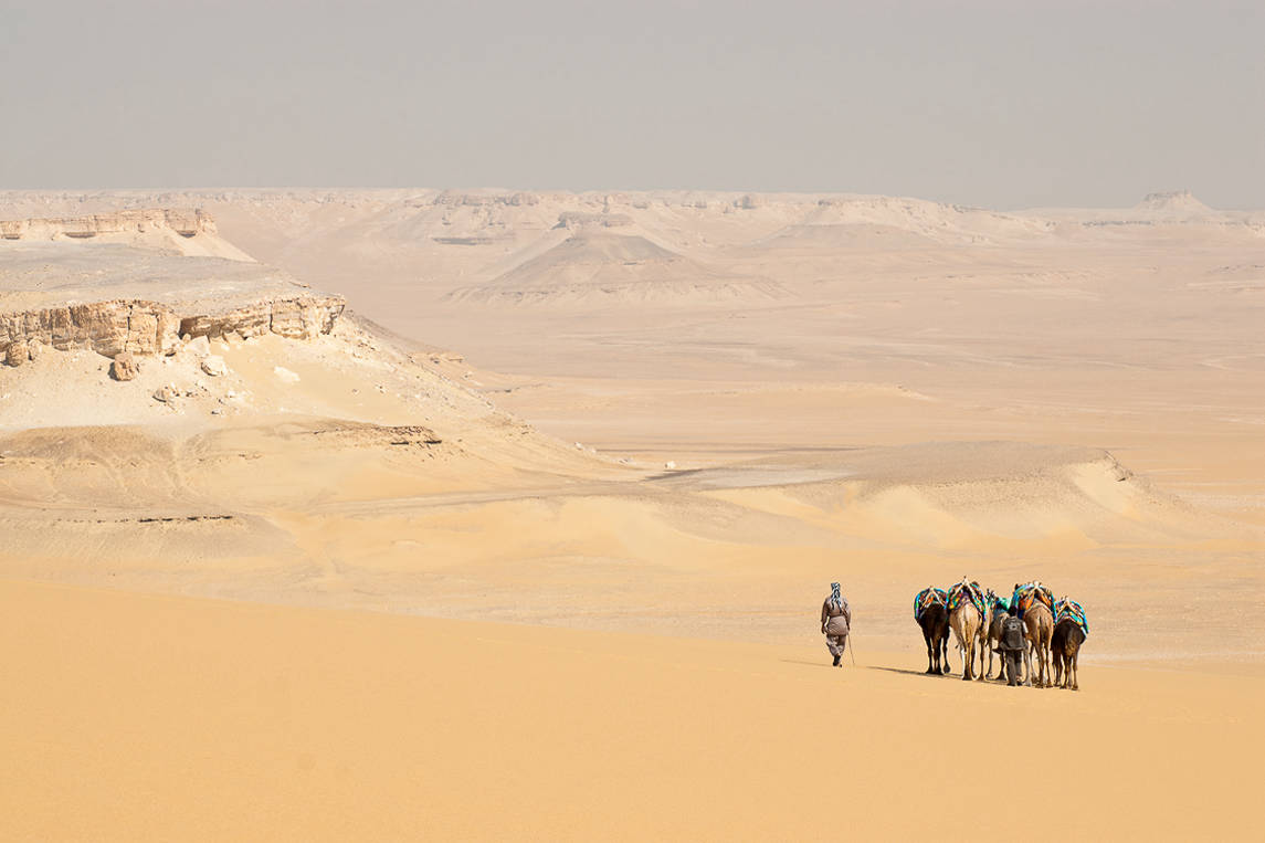 Expedition in Abu Muharrik by Camel, Egypt, Sahara