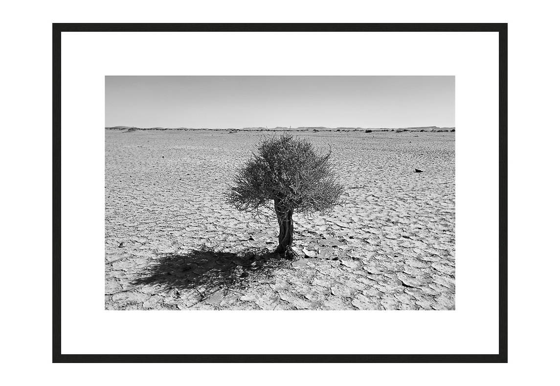 Spirit of Perseverance with frame, Desert Stories Series (Photo Edition), Nik Barte