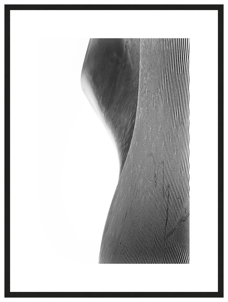 Scars with frame, Reverse Bodyscapes Series, Nik Barte