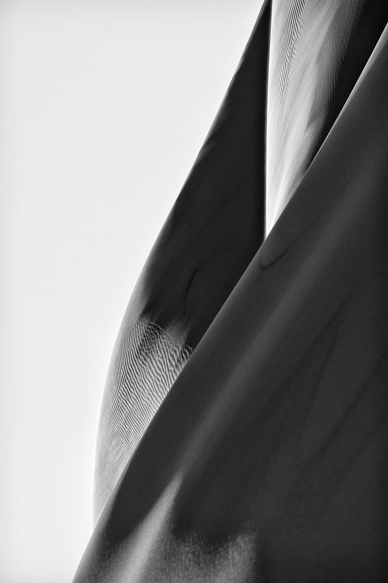 On Your Skin, Reverse Bodyscapes Series, Nik Barte