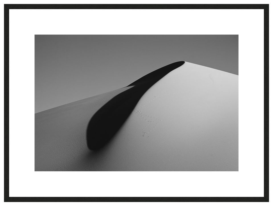 Intruders with frame, desARTification 2013 Series, Nik Barte