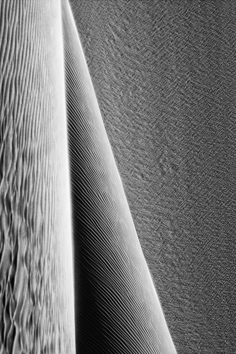 Protection, SENSES Series, Nik Barte