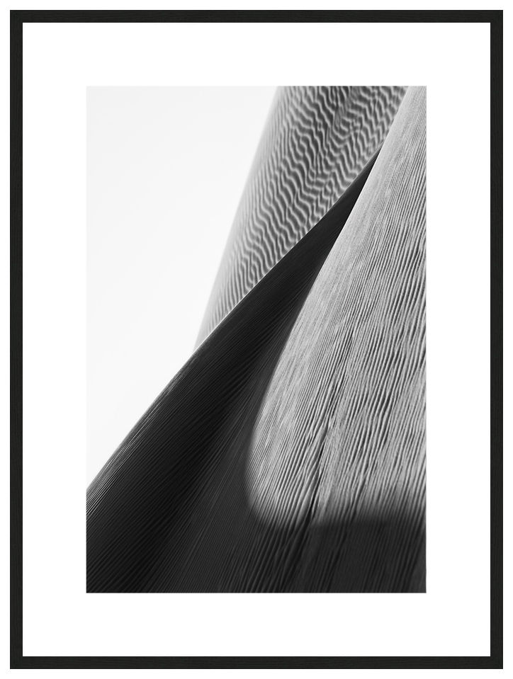Sand Thorn with frame, SENSES Series, Nik Barte
