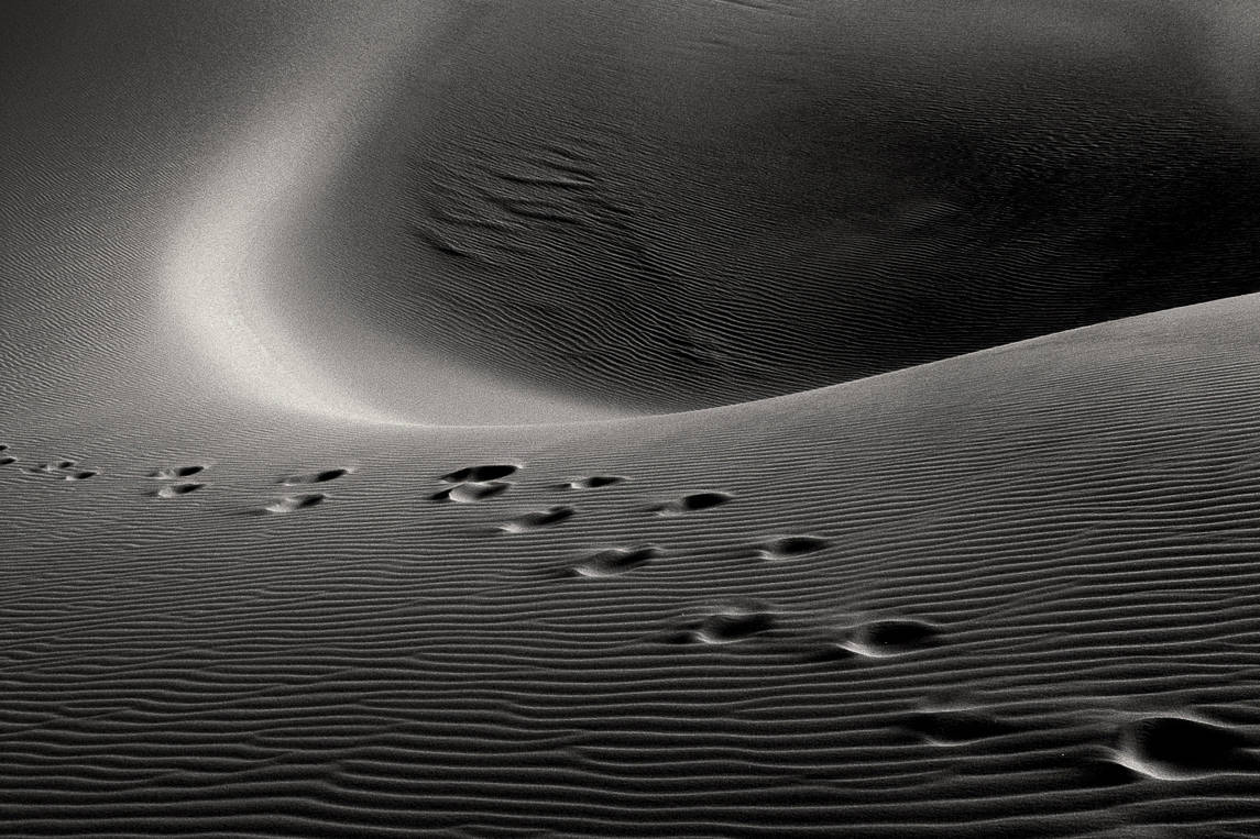 Expedition in the Great Sand Sea desert. Footprint traces